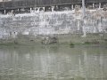 IMG_5606
